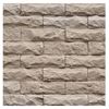 Afbeeldingen van STEENSTRIP AMSTERDAM CREME 26X7,6X0,9-2,5CM  0,59M²/DOOS