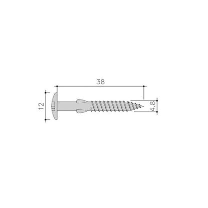 Afbeeldingen van Siding Schroef Torx+Vlgls 100St 4,8X38 Rvs C01 Everest Wit