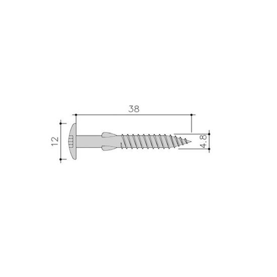 Afbeeldingen van Siding Schroef Torx+Vlgls 100St 4,8X38 Rvs C01 Everest Wit