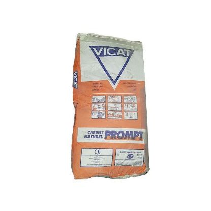 snelcement vica prompt