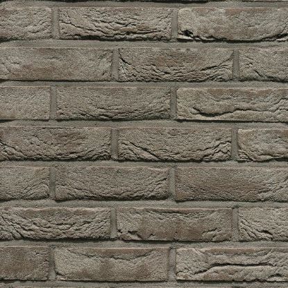 Picture of Wienerberger Pagus Iluzo Grijs 238x90x48mm Exclusieve productie