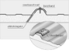 Picture of Ecopaneel - GS40 - 3cm 1.05m x 3.10m