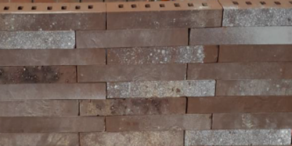 Afbeeldingen van Wienerberger Eco RF Barn Bruin Lot