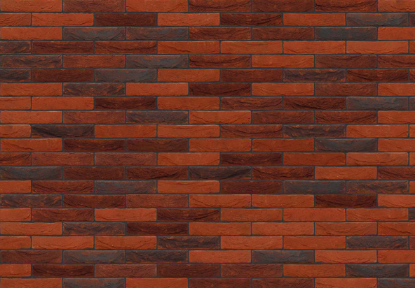 Picture of Nelissen Passion Autrique WV50 210x100x50